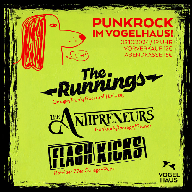 Punkrock im Vogelhaus!