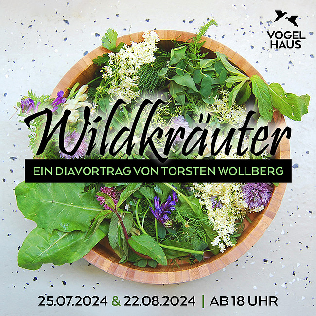 Wildkräuter - Diavortrag von Torsten Wollberg